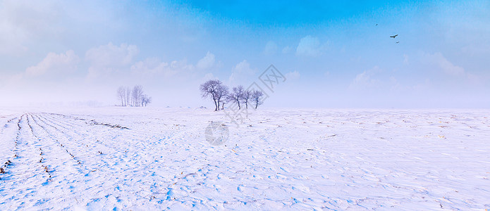 雪地风光北方农田高清图片