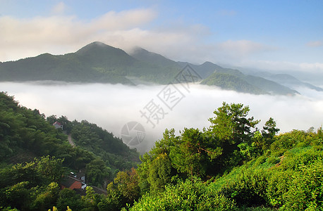 小山村山村云雾背景