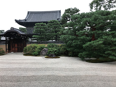 日本庭院日本京都寺庙庭院背景