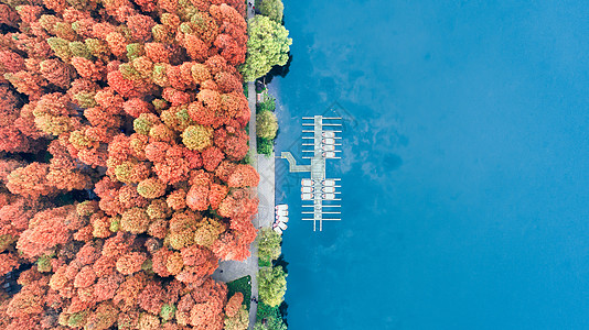 杭州西湖湖面航拍西湖码头红杉林和湖水背景