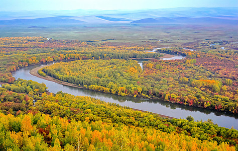 内蒙古额尔古纳湿地背景图片