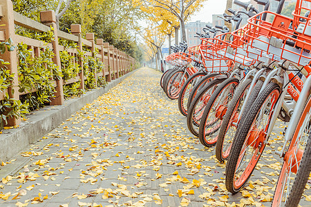 共享单车与银杏落叶背景图片