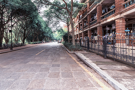 大学校园青春小路高清图片