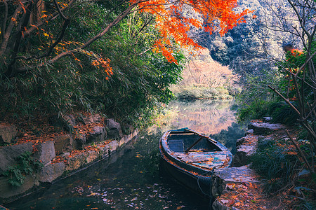 叶子船唯美的九溪烟树背景