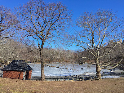 纽约中央公园的冬天背景图片