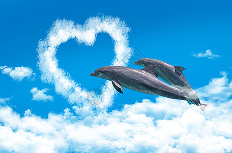 云海中飞跃心之门的海豚高清图片