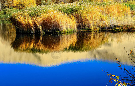 湖边秋色背景图片