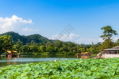 荷花亭子湖泊山水背景