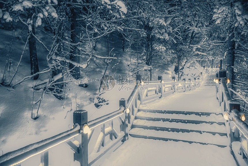 夜晚森林雪景图片