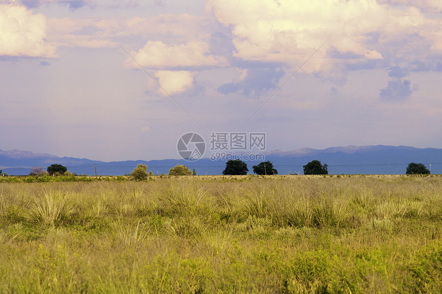 新疆塔城库鲁斯台大草原风光图片