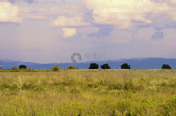 新疆塔城库鲁斯台大草原风光图片