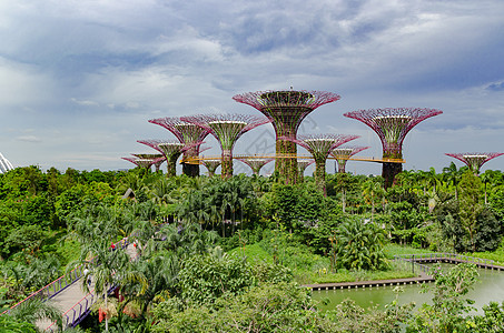 新加坡滨海湾花园背景图片