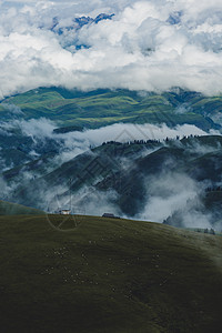 旅游桌面那拉提云海背景