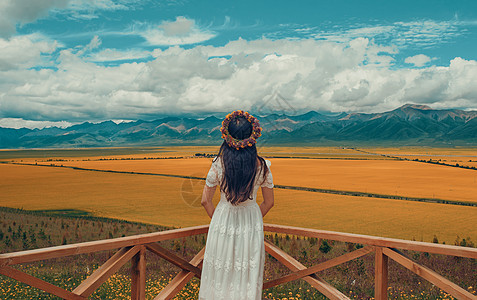 美女美景门源油菜花海背景