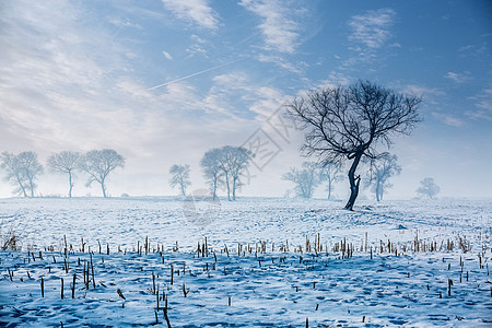 冰河雪地风光系列背景图片