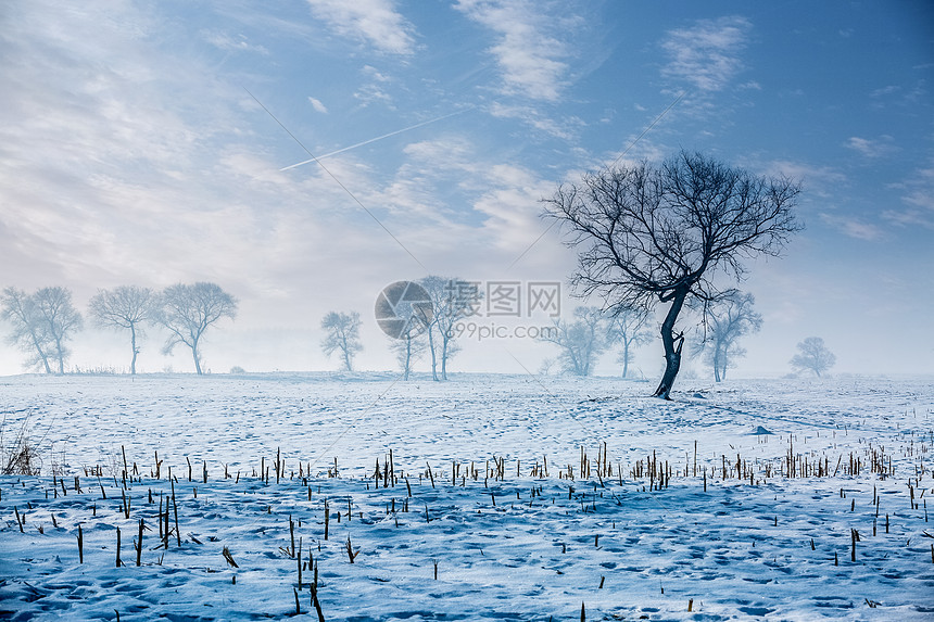 冰河雪地风光系列图片