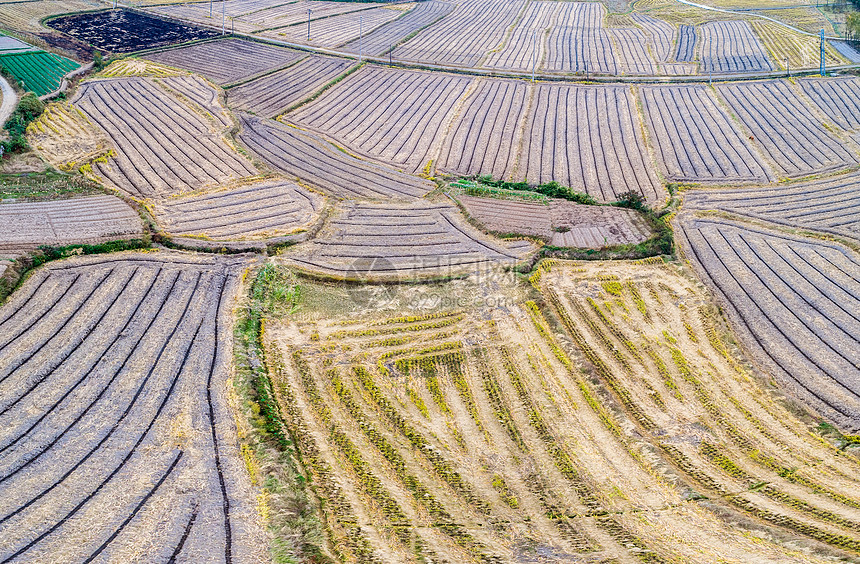 田野土地的纹路图片