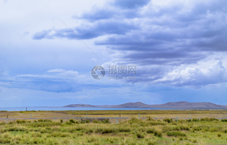 青海草原图片