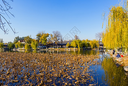 天津建筑素材深秋公园美景背景