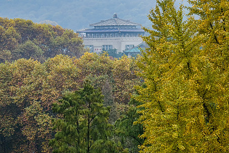 武汉大学秋冬景色图片