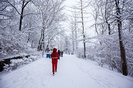 冬季下雪雪景图片