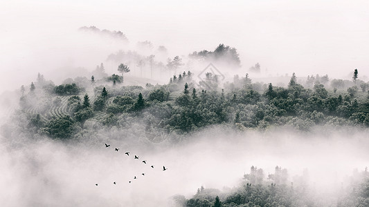 水墨云雾充满中国风的江南水乡雾气景色背景