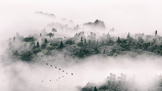 充满中国风的江南水乡雾气景色背景图片