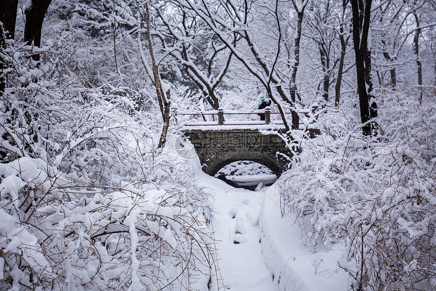 冬天公园里的雪景图片