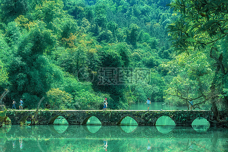 小清晰植物荔波小七孔拱桥背景