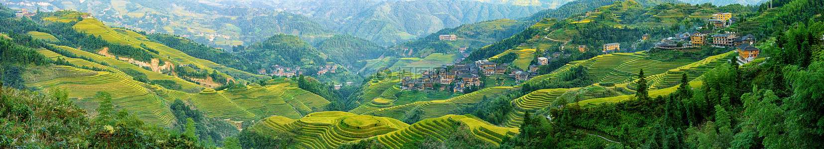 绿色麦田田园梯田风光全景背景