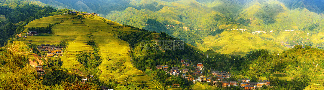 秋天梯田全景风光背景