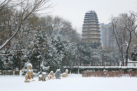 雪后小雁塔图片