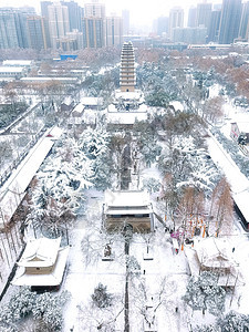 雪后小雁塔图片