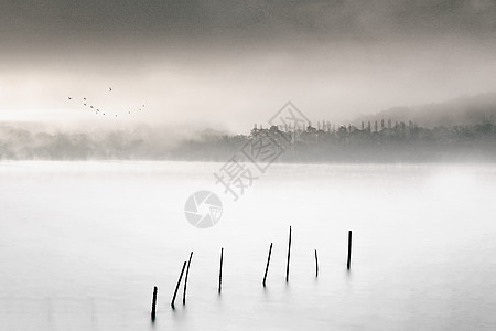 鸟插画中国风韵味的水墨山水素材背景