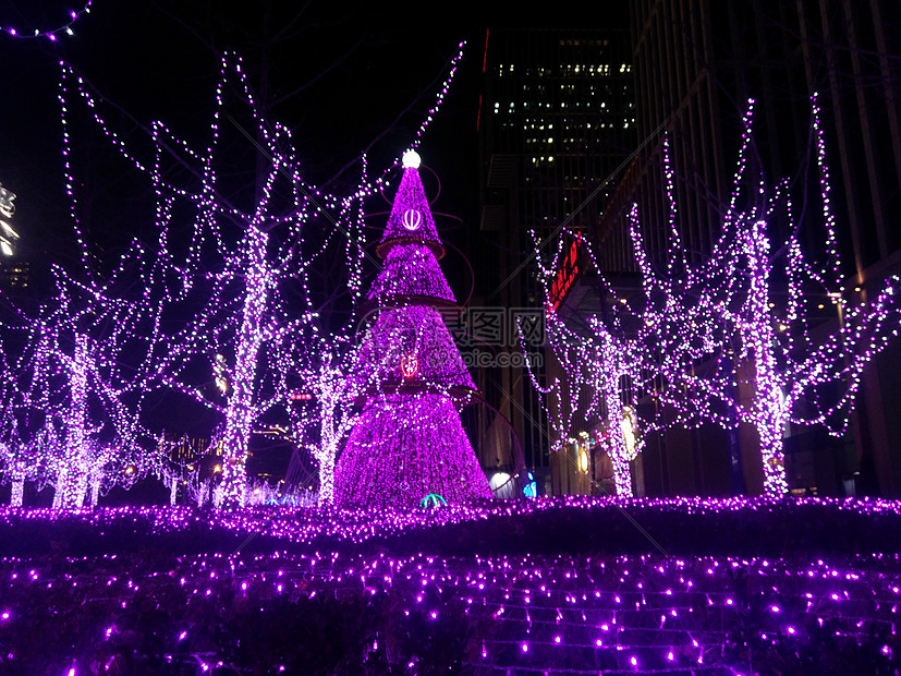 北京的大望路夜景图片