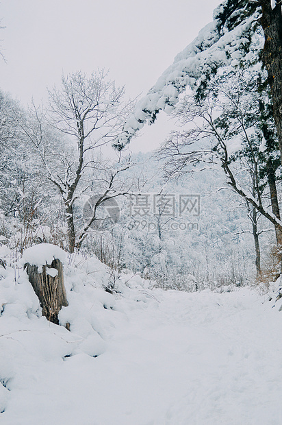 冬季雪景道路图片