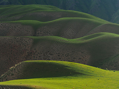 羊腰新疆喀拉峻人体山背景