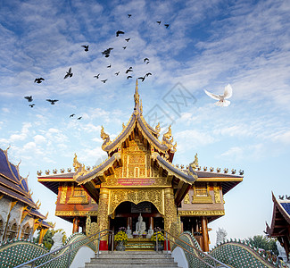 泰国海龙寺泰国神庙背景