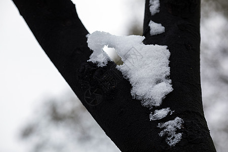 雪后的雪景图片