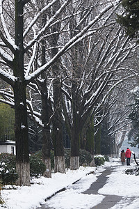 大雪后的道路图片