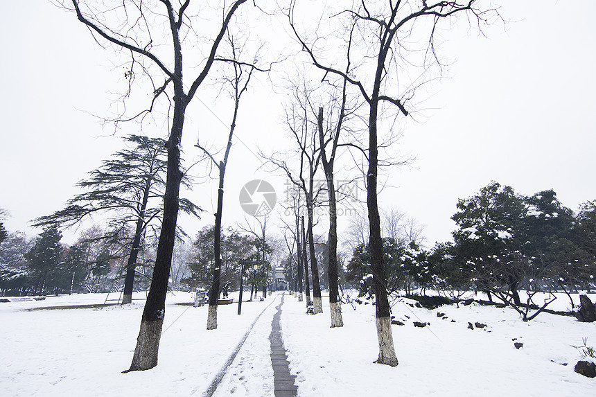 雪后小路图片