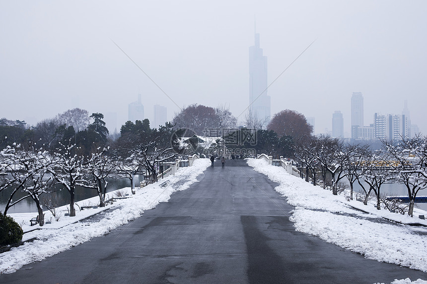 大雪后的城市图片