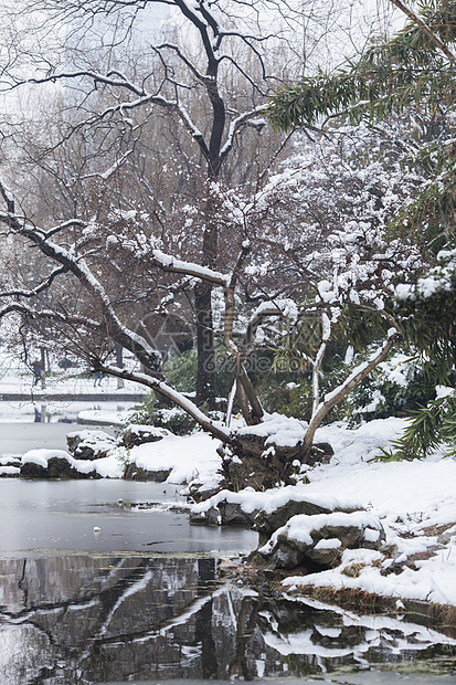 下雪后的风景图片