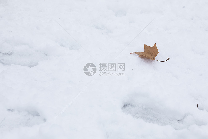 雪地上的风景图片