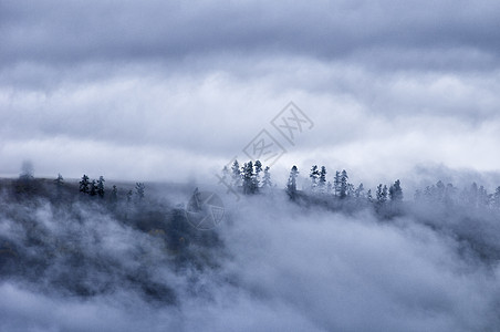 水墨画山峦新疆禾木山间云雾森林水墨画背景