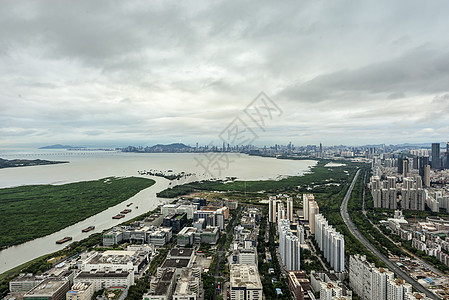 深圳湾城市公园海高清图片