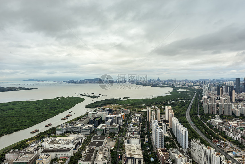 深圳湾图片