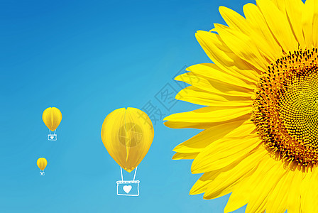 向日葵花瓣热气球背景图片