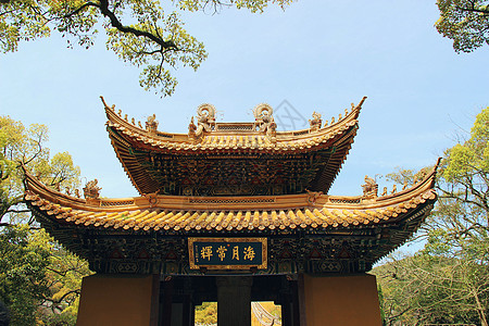 普陀山大门南海佛国普陀山的普济寺背景