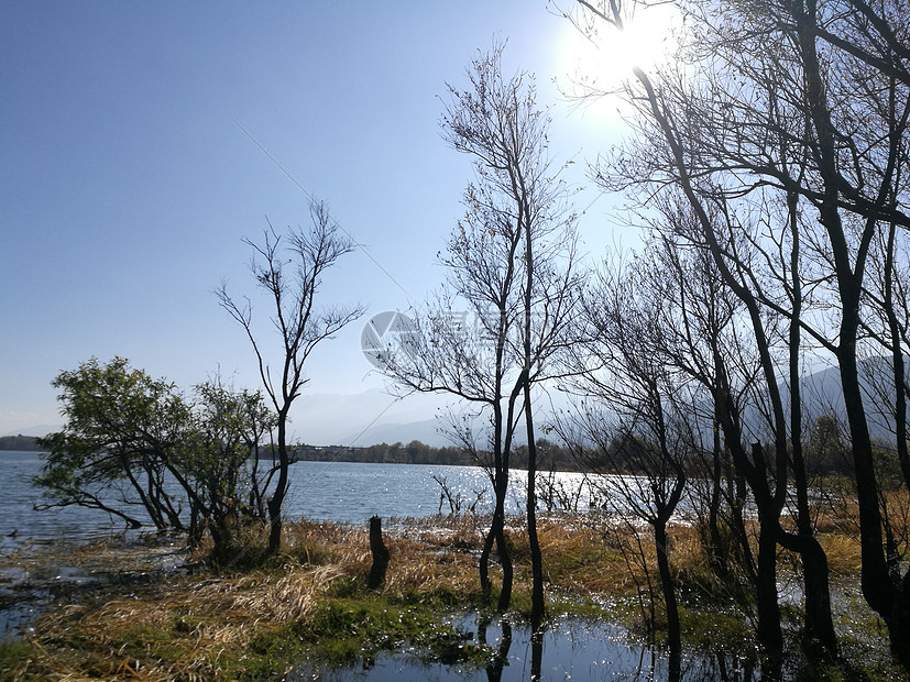 云南洱海边的风景图片